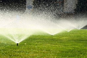 Sprinkler Systems Boca Raton